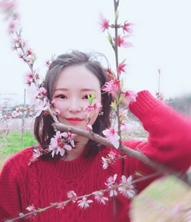 小桌子的第一张照片--龙海交友网