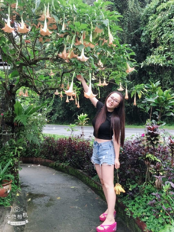 离异单身无子的第二张照片--龙海交友网
